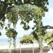 wedding pergola 