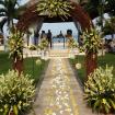 prangipani flower arch three top point 