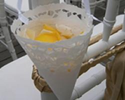 Flower Petal on Paper Doyle