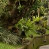 Royal Pita Maha - Bali Wedding Venue