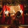 Fire dance