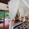 jungle pool villa