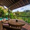 jungle pool villa view 
