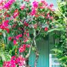 Puri Tempo Doeloe Bali Wedding Venue