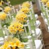 tiffany chair wedding set up 