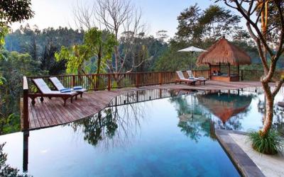 Nandini Jungle Resort